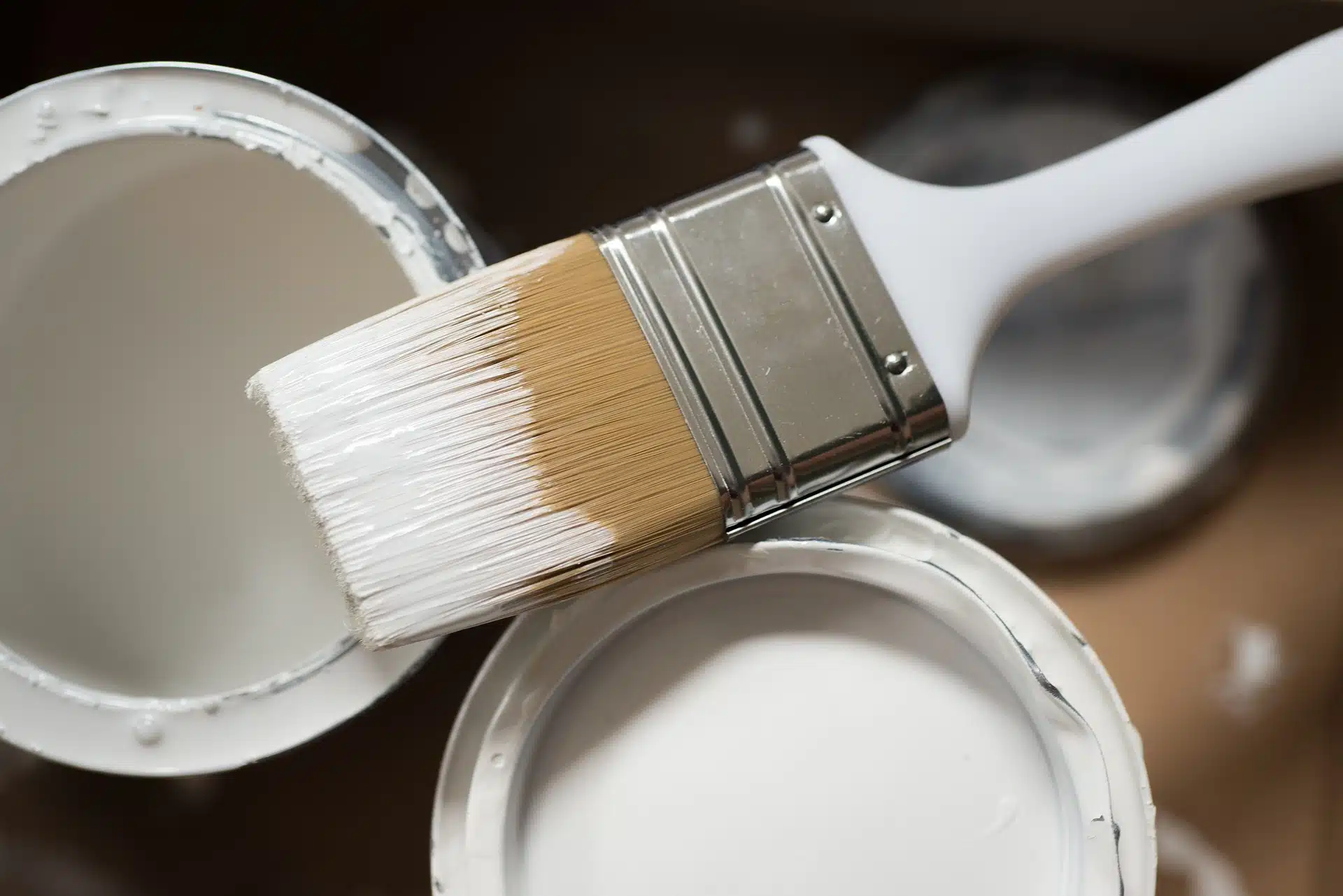Pinceau imbibé de peinture blanche